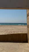 efrat_elmalich Altpins Profile Picture
