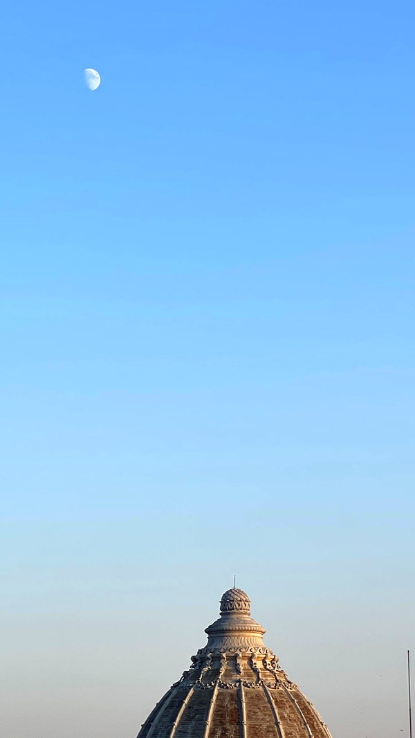 v.e.r.o._.n.i.c.a instagram image archive image