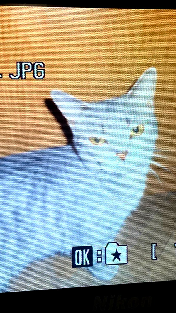 carmexan instagram image archive image