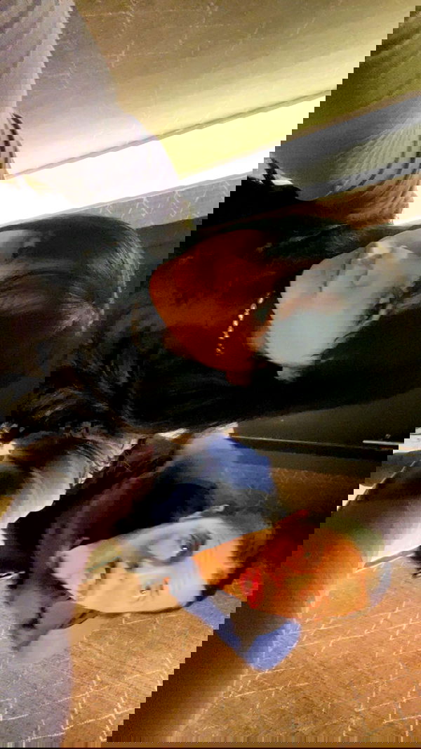 dante_yangpa dante_yangpa archive image