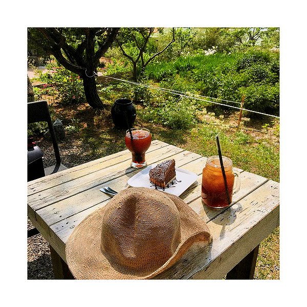 daxbin instagram image archive image