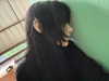 h1k21k0m0r1 Altpins Profile Picture