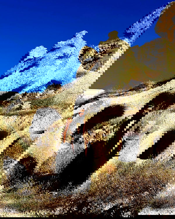 taylor.creeden taylor.creeden archive image