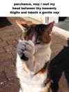milkiwifey Altpins Profile Picture