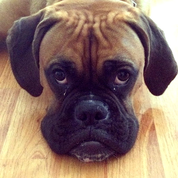 adihimelbloy instagram image archive image