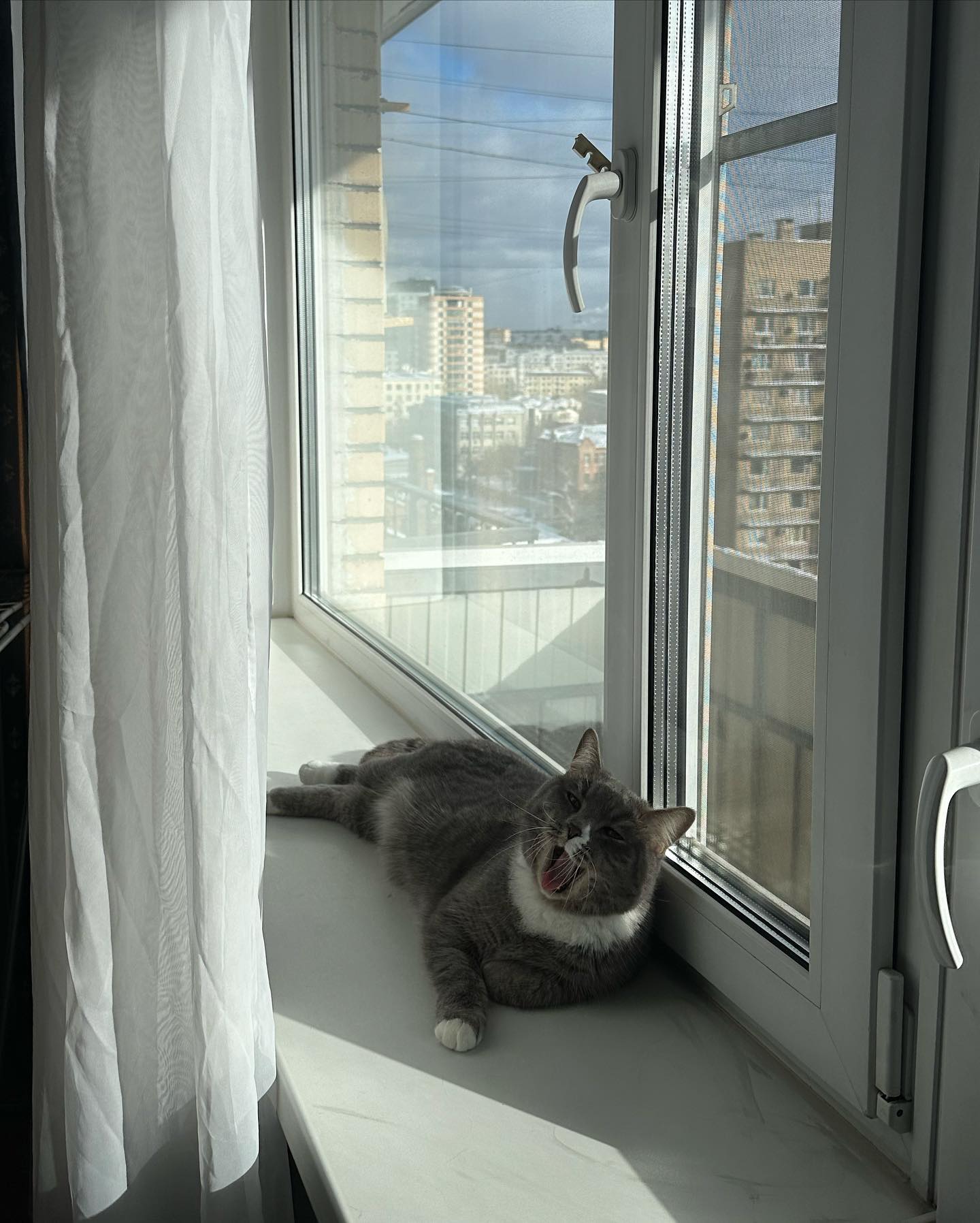 kkulakovaa instagram image archive image