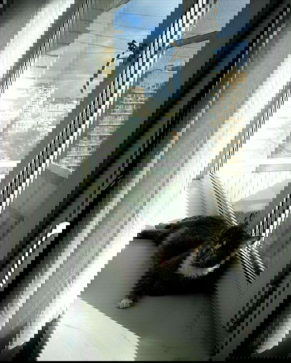 kkulakovaa image ~ Altpins