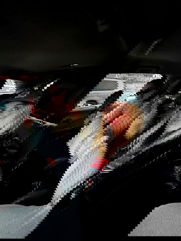 iambohema.v2 iambohema.v2 archive image