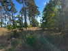marlene_808 Altpins Profile Picture