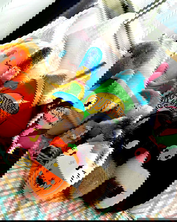 jtilb2 image ~ Altpins