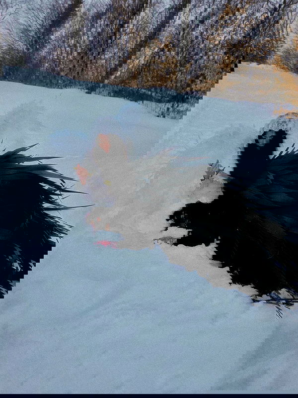 laurinchhhe laurinchhhe archive image