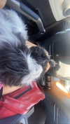 babynympho_archive Altpins Profile Picture