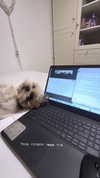 topaz_bn Altpins Profile Picture