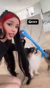alyri_tv Altpins Profile Picture