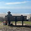rouxroux.tv Altpins Profile Picture
