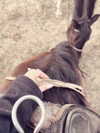 aseynat0r Altpins Profile Picture