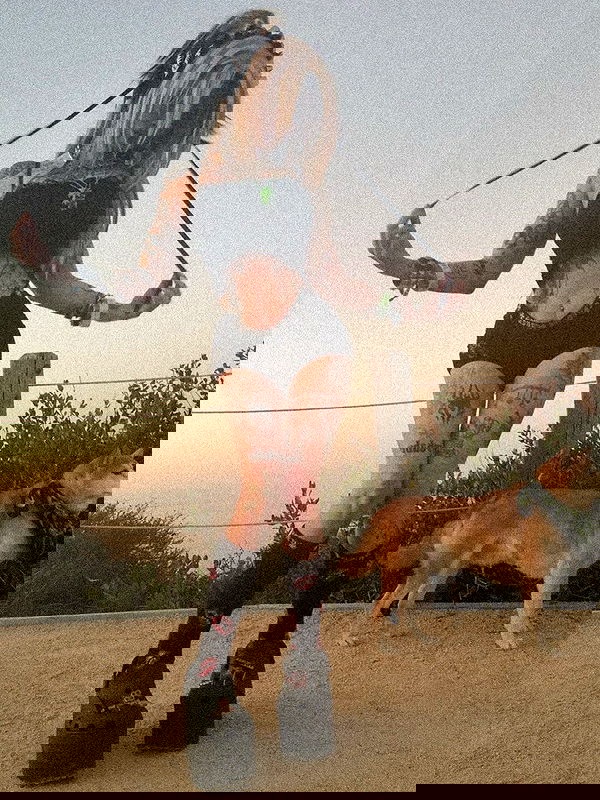 zommmbri zommmbri archive image