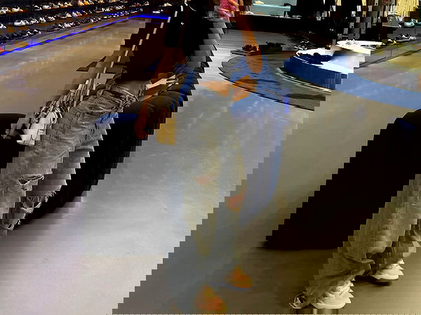 pollcherri pollcherri archive image