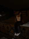 elviksi_07 Altpins Profile Picture