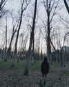 glowmoonshorty Altpins Profile Picture