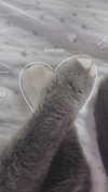 minenmi_ Altpins Profile Picture
