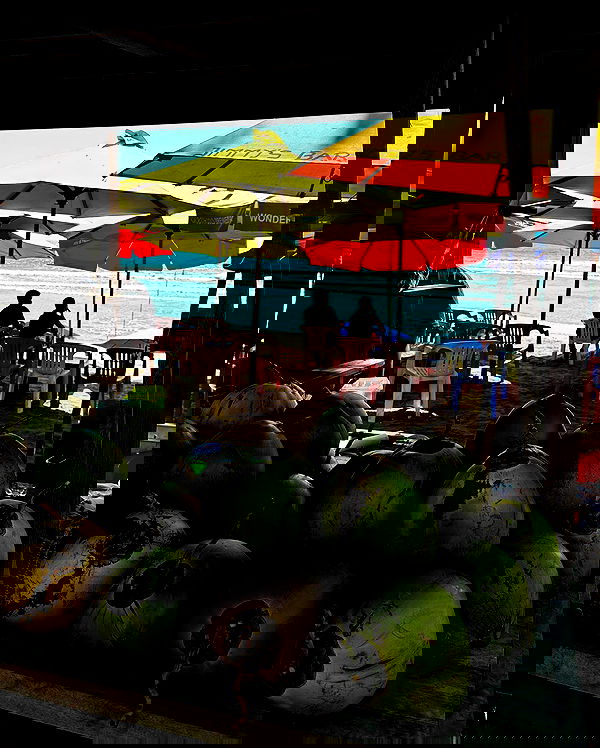 taylor.creeden taylor.creeden archive image