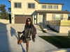 dreambabydrea Altpins Profile Picture