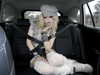 angelwithashotgunxx Altpins Profile Picture