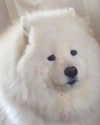 lai_931201 Altpins Profile Picture