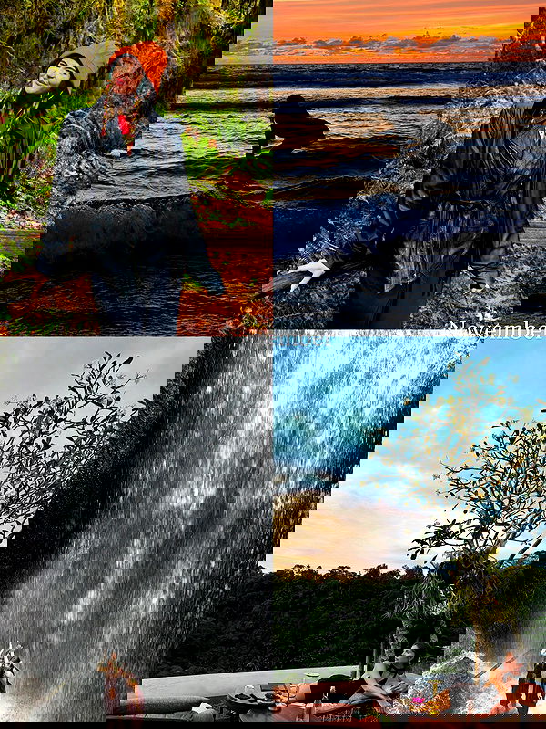 taylor.creeden taylor.creeden archive image