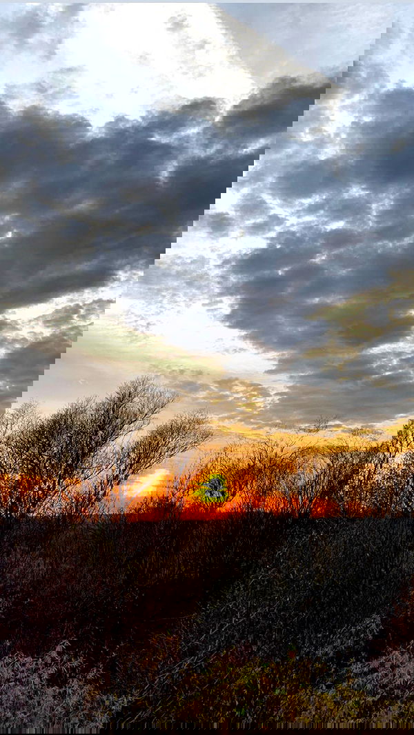 nyityam nyityam archive image