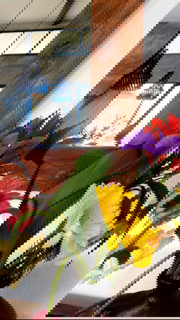 taylor.creeden taylor.creeden archive image