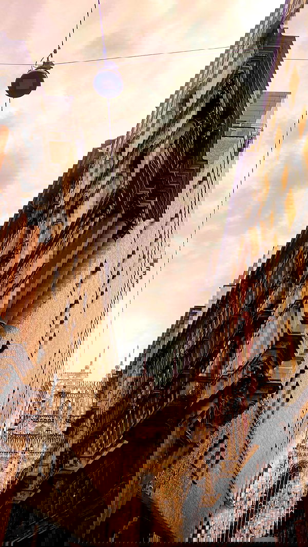 taylor.creeden taylor.creeden archive image