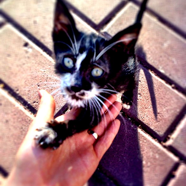 adihimelbloy instagram image archive image