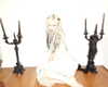 amellliiaa Altpins Profile Picture