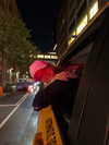 luciaaferrato Altpins Profile Picture