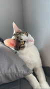 yuna_1_27 Altpins Profile Picture