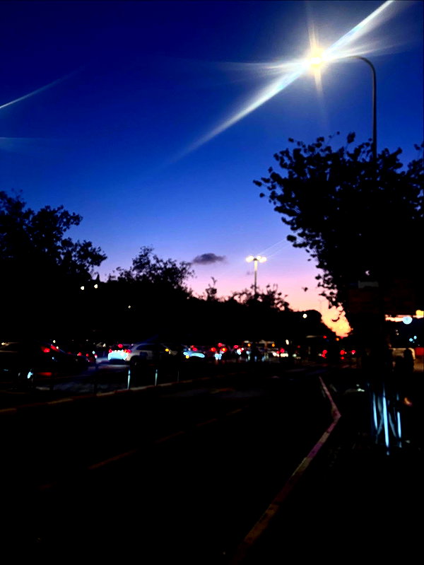 rei.sigalov instagram image archive image