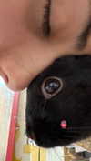 efrat_elmalich Altpins Profile Picture