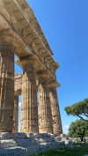 annabottoo Altpins Profile Picture