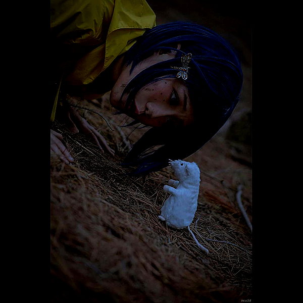 muze instagram image archive image