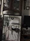 ash.onme Altpins Profile Picture