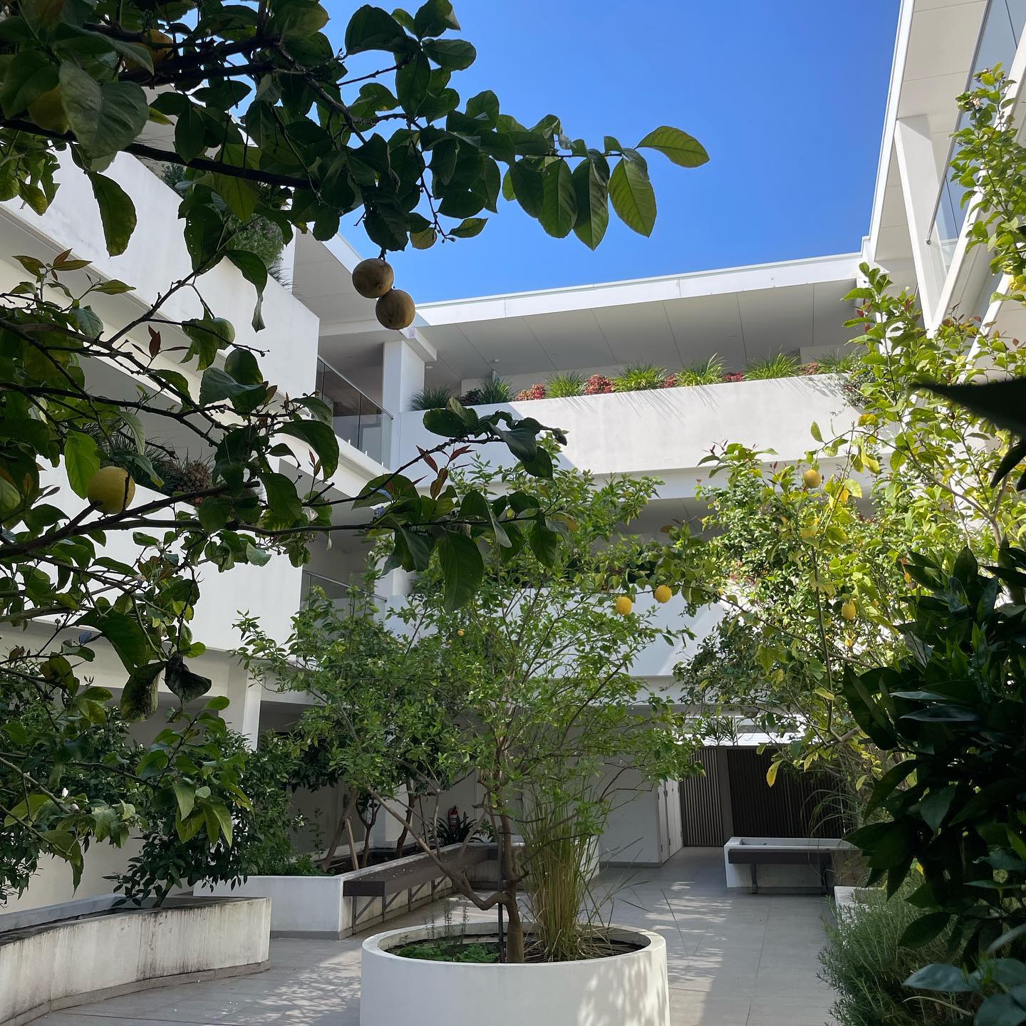 jtilb2 instagram image archive image