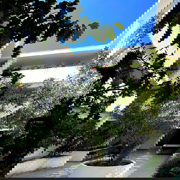 jtilb2 image ~ Altpins