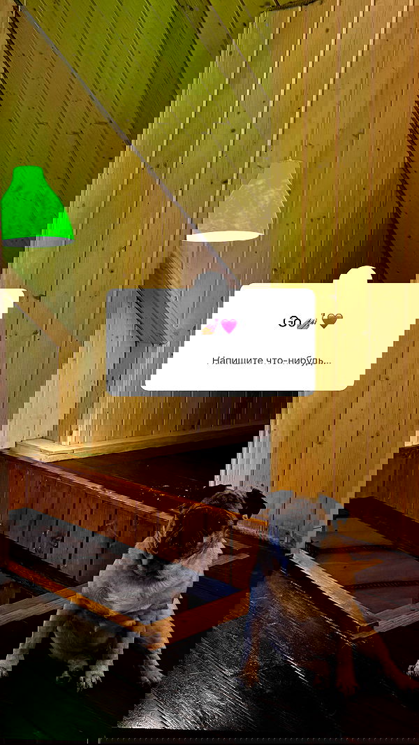 nyityam nyityam archive image