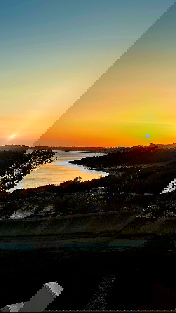 taylor.creeden taylor.creeden archive image