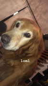 analuvillarreal Altpins Profile Picture