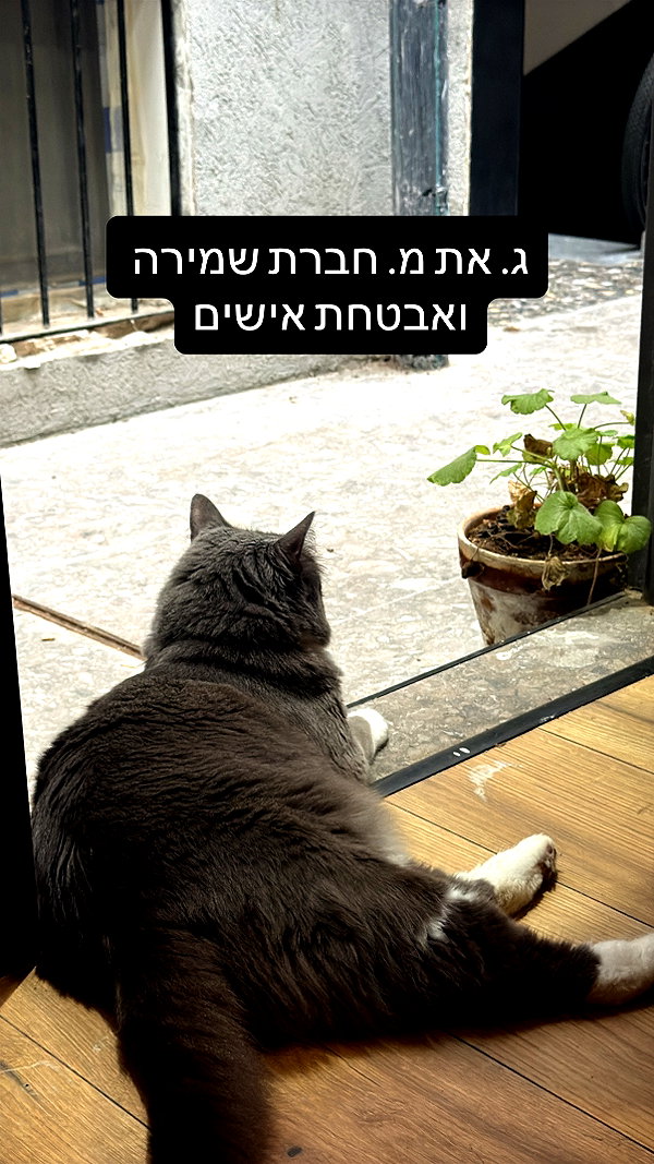 elohim_adirim instagram image archive image