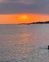 owlydiaa Altpins Profile Picture