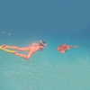 auddk_77 Altpins Profile Picture